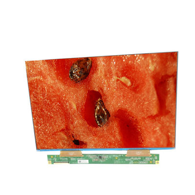 قیمت خوب صفحه نمایش 10.1 اینچی پنل LCD صنعتی GV101WXB-NN0-3GP0 صفحه نمایش مانیتورهای LCD آنلاین