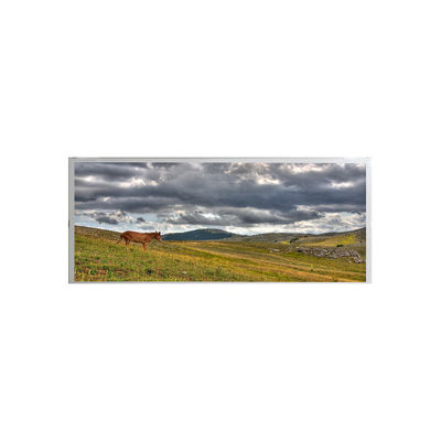 قیمت خوب صفحه نمایش LCD صنعتی AMPIRE 19.1 اینچی AM-1920360ATZQW-00 آنلاین