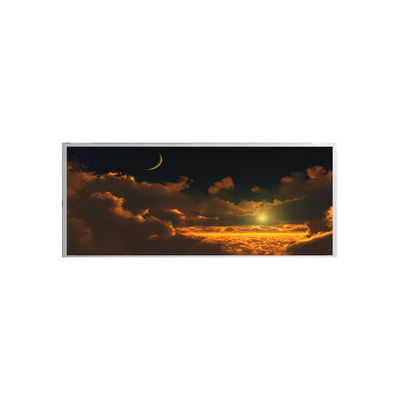 قیمت خوب 6.8 اینچ اصلی برای پنل ماژول صفحه نمایش LCD BOE لمسی AV069Y0Q-N10 آنلاین