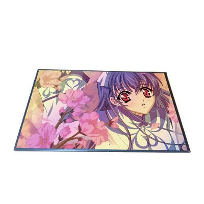 قیمت خوب صفحه نمایش 10.1 اینچی B101EAN02.2 TFT LCD 800*1280 آنلاین