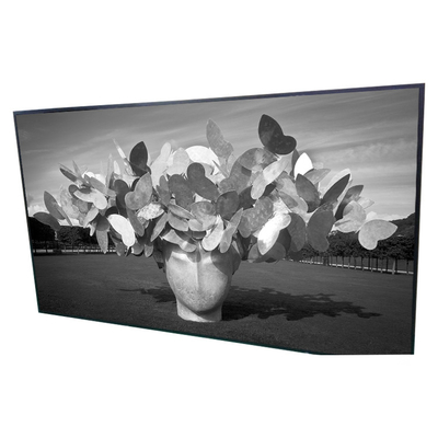 قیمت خوب صفحه نمایش LCD 42.0 اینچ 1920*1080 P420HVN01.0 پانل نمایش دیجیتال ساینیج آنلاین