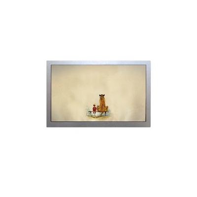 قیمت خوب AA121TH11 صفحه LCD 12.1 اینچ نمایش 1280 * 800 tft ماژول LCD آنلاین