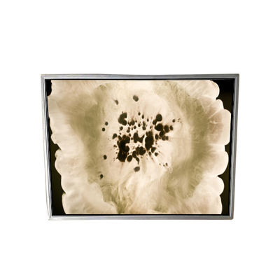 قیمت خوب صفحه نمایش LCD 80 پین 120PPI NL204153BM21-01A آنلاین