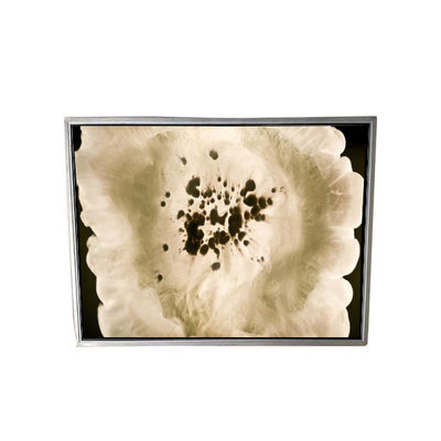 قیمت خوب NL256204AC16-01 92 پین LCD Medical Screen آنلاین