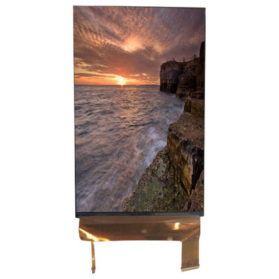 قیمت خوب LQ070M1SX01 7.0 اینچ صفحه نمایش 1200*1920 صفحه نمایش LCD مانیتور 71 پین آنلاین