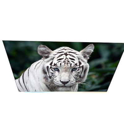 قیمت خوب صنعت G270QAN02.0 ۲۷.۰ اینچ ۷۰ پین پانل LCD TFT آنلاین