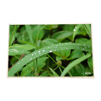 قیمت خوب اندازه ی میله های عمودی RGB 15.4 اینچ B154SW01 V4 Transmissive LCD Screnn آنلاین