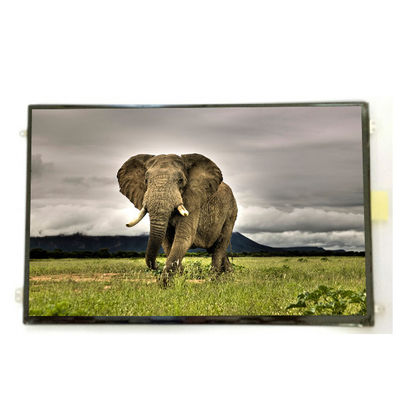 قیمت خوب B101UAN01.9 10.1 اینچ 16.7M 52%NTSC صفحه نمایش LCD آنلاین