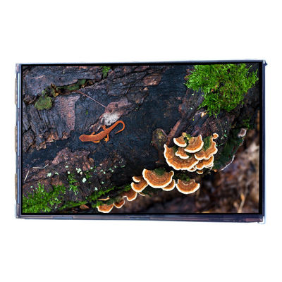 قیمت خوب VVX07H005A00 7.0 اینچ 450 cd/m2 صفحه نمایش LCD آنلاین