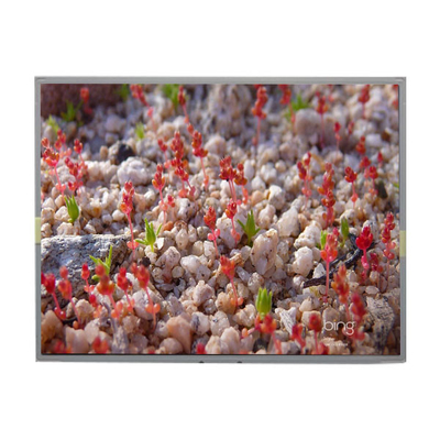 قیمت خوب LM2011-SLWE01 صفحه نمایش LCD اصلی 20.1 اینچ 1680*1050 آنلاین