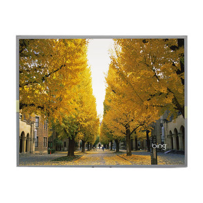 قیمت خوب LM2013-WETLB1 20.1 اینچ صفحه LCD 1680*1050 صفحه نمایش LCD آنلاین