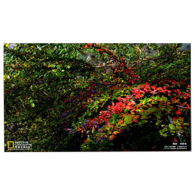 قیمت خوب LM238WF5-SSE5 صفحه نمایش LCD جدید برای HP Pavilion 24-Df0014 آنلاین