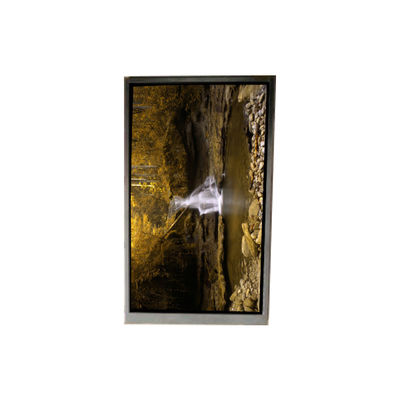 قیمت خوب BA050WQ4-100 5.0 اینچ 480 * 272 صفحه نمایش LCD برای ناوبری قابل حمل آنلاین