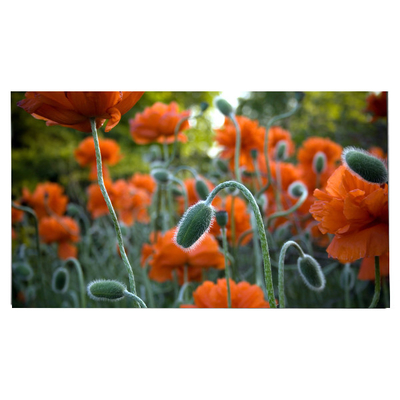 قیمت خوب LM270WR8-SSC1 ۲۷٫۰ اینچ صفحه LCD ۳۸۴۰*۲۱۶۰ صفحه نمایش LCD آنلاین