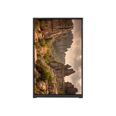 قیمت خوب BP096WX2-100 9.6 اینچ صفحه نمایش LCD صفحه نمایش LCD ماژول پانل آنلاین