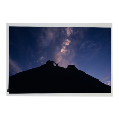 قیمت خوب LM310UH1-SLA1 صفحه نمایش LCD پزشکی 31.0 اینچی جدید آنلاین