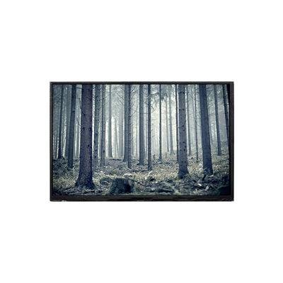 قیمت خوب BP101WX2-100-3QP0 10.1 اینچ صفحه LCD صفحه نمایش LCD آنلاین