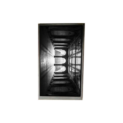 قیمت خوب BS055FHE-L30-6Q01 5.5 اینچ صفحه نمایش LCD صفحه نمایش LCD پانل برای تلفن همراه آنلاین