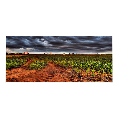 قیمت خوب LM340UW6-SSA3 ۳۴٫۰ اینچی صفحه LCD ۳۴۴۰*۱۴۴۰ صفحه نمایش LCD آنلاین