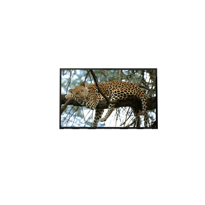 قیمت خوب LP133WX2-TLA3 13.3 اینچ صفحه نمایش LCD TFT لپ تاپ آنلاین