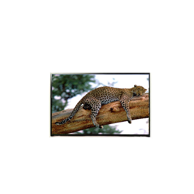 قیمت خوب LP141WP1-TLE6 14.1 اینچ 60 هرتز صفحه LCD 1440*900 صفحه LCD آنلاین