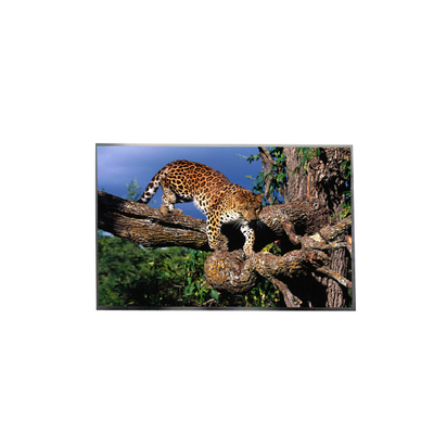 قیمت خوب صفحه نمایش LCD LP156WFC-SPD8 15.6 اینچ FHD IPS TFT برای لپ تاپ آنلاین
