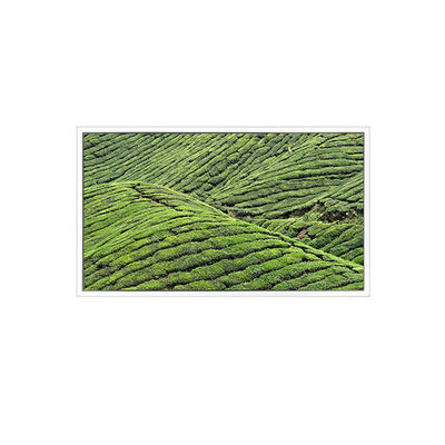 قیمت خوب DV320WHD-NT0 32.0 اینچ 1366*768 صفحه LCD برای نمایش شفاف آنلاین