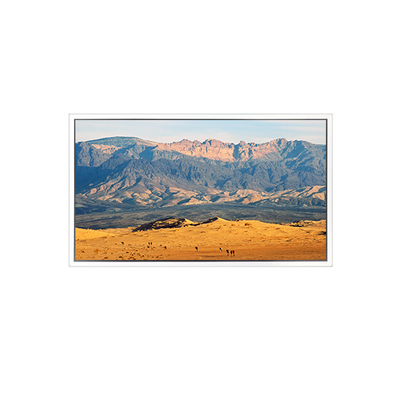 قیمت خوب صفحه نمایش ال سی دی 49 اینچ 3840*2160 DV490QUB-N8A برای سیگنال های دیجیتال آنلاین