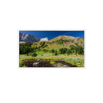 قیمت خوب DV550QUB-N20 3840*2160 55 اینچ LCD Screen FOR Digital Signage آنلاین