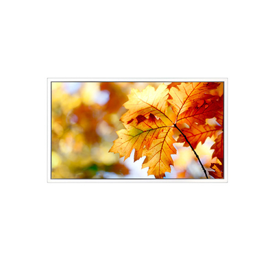 قیمت خوب EV238FHM-N12 23.8 اینچ 1920*1080 صفحه نمایش LCD آنلاین