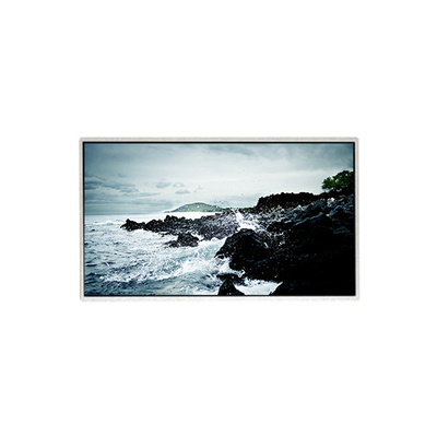 قیمت خوب 1366*768 HF236WHB-F20 صفحه نمایش LCD 23.6 اینچی آنلاین