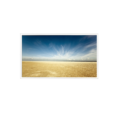 قیمت خوب 800*1280 10.1 اینچ TV101WXM-NM0 500 cd/m2 صفحه LCD برای پد تبلت آنلاین