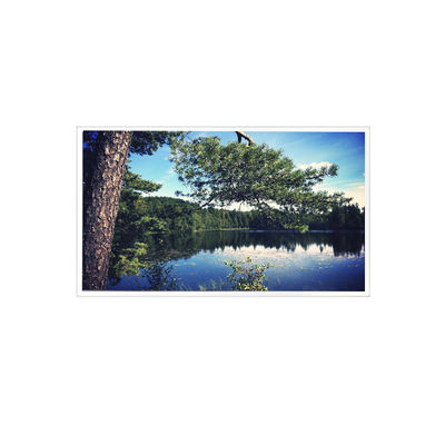 قیمت خوب 1024*768 15.0 اینچ TDA150-002 LVDS 700 cd/m2 صفحه LCD آنلاین