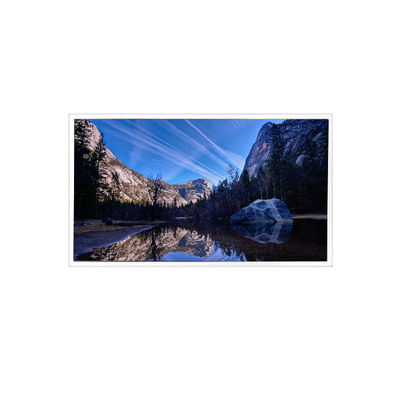 قیمت خوب 10.1 اینچ 1920*1200 EV101WUM-N81 1000:1 پانل LCD LVDS برای صنعتی آنلاین