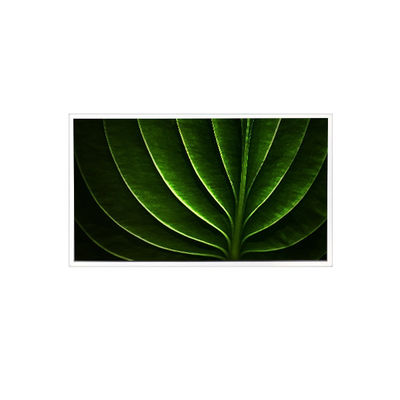 قیمت خوب TAD201-001 20.1 اینچ 1600*1200 450 cd/m2 صفحه نمایش LCD 60 هرتز برای صنعتی آنلاین