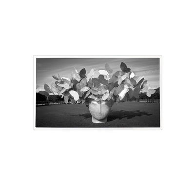 قیمت خوب 1280*1024 3.8 اینچ TPA038-001 800:1 صفحه نمایش صفحه نمایش LCD آنلاین