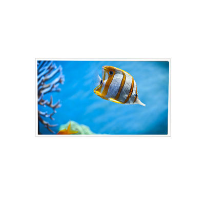 قیمت خوب 7.1 اینچ RV071Y4G-N00 768 * 768 صفحه نمایش LCD برای صنعتی آنلاین