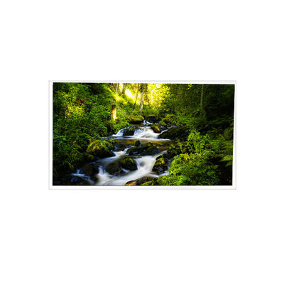 قیمت خوب RV042Z6G-N00 صفحه نمایش LCD ۴.۲ اینچی ۴۸۰*۴۸۰ آنلاین