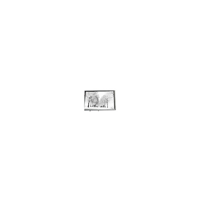 قیمت خوب 8.8 اینچ 768*768 TPA088-001V02 16.7M 71٪ NTSC صفحه LCD برای صنعتی آنلاین