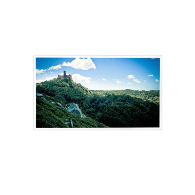 قیمت خوب 10.4 اینچ 1024*768 RV104X0M-N01 900 cd/m2 صفحه نمایش LCD آنلاین