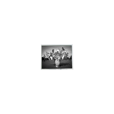 قیمت خوب PD104SLH 10.4 اینچ 800*600 WLED 14 پین صفحه نمایش LCD آنلاین