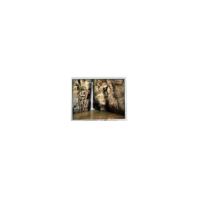 قیمت خوب 800*600 PD104SLJ 10.4 اینچ 400 cd/m2 صفحه نمایش ال سی دی 60 هرتز آنلاین