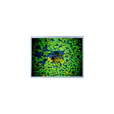 قیمت خوب PD121XL4 12.1 اینچ 1024*768 600:1 صفحه نمایش صفحه نمایش LCD آنلاین