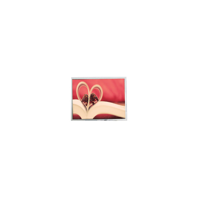 قیمت خوب PM062WY1 6.2 اینچ 800*480 WLED 262K صفحه نمایش LCD آنلاین
