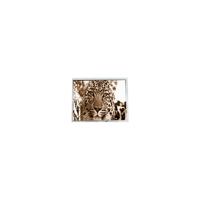 قیمت خوب PM070WM2 7.0 اینچ 800 * 480 صفحه LCD برای پخش کننده DVD قابل حمل آنلاین