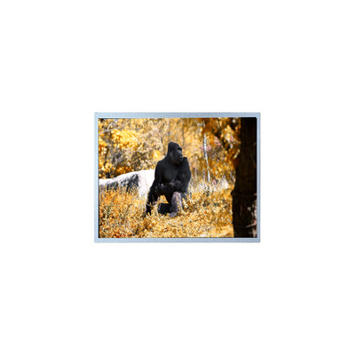 قیمت خوب صفحه نمایش LCD اصلی 7.0 اینچ 800*480 PW070WX2 آنلاین