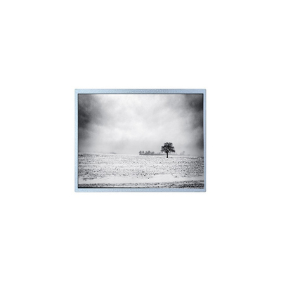 قیمت خوب PW080XU4 جدید 480*220 8.0 اینچ 60Hz 30 پین صفحه نمایش LCD آنلاین