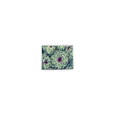 قیمت خوب NEW 320*240 AG-320240A4STQW-TX3H ((N) ((R) 5.7 اینچ 1S6P WLED صفحه LCD آنلاین