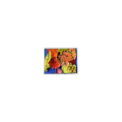 قیمت خوب 800*600 AM-80060K3TMQW-02H 10.4 اینچ صفحه نمایش LCD LVDS آنلاین