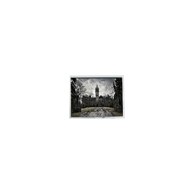 قیمت خوب 5.7 اینچ AM-320240N1TMQW-00H-A(R) 320*240 60Hz 262K صفحه LCD آنلاین